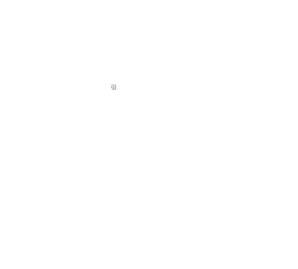 Precision Counseling Consultants, PLLC